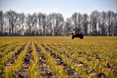 В Рязанской области планируют вернуть в оборот ещё 11 тысяч гектаров посевных земель