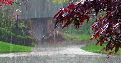 На Рязанщине будет дождливо и ветрено