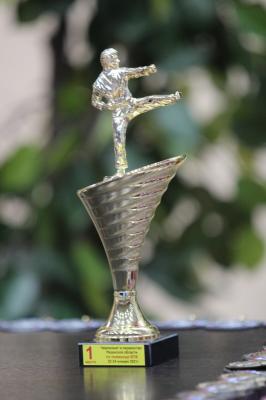 Рязанские тхэквондисты завоевали награды «Кубка рязанского кремля»