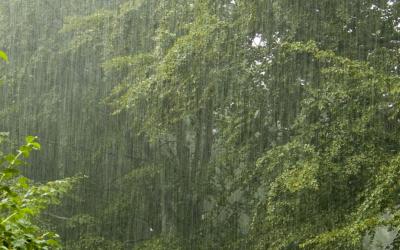 На Рязанщине сохранится дождливая погода