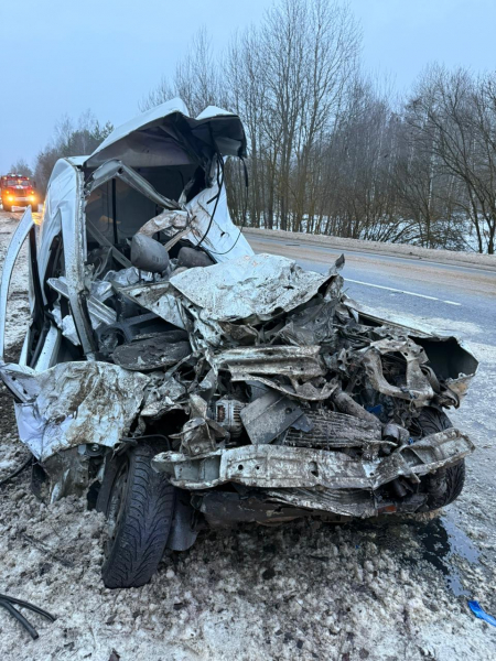 В Клепиковском районе погиб водитель легковушки, столкнувшийся с большегрузом