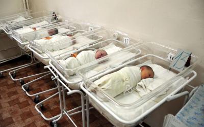 Рязанскую область пополнили 256 малышей