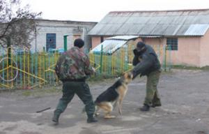 Сотрудники наркоконтроля и овчарка Зинаида побывали в гостях у воспитанников Шереметьевского детского дома