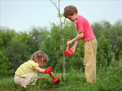 Экологический рязанский альянс запускает новый фотоконкурс
