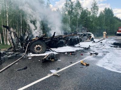В Клепиковском районе произошла смертельная авария