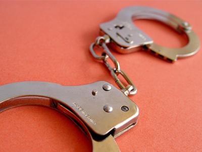 Стражи порядка задержали рязанку, укравшую спутниковый приёмник