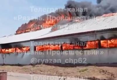 Фото: телеграм-канал «Рязань. Происшествия»