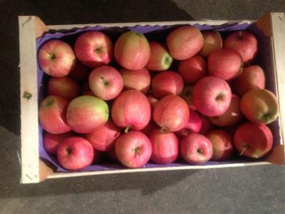 В Рязани уничтожили яблоки неизвестного происхождения