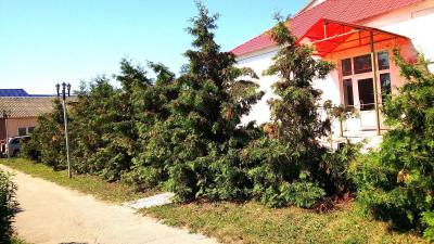 В Сараях хотят обновить аллею земляков