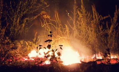 В рязанском регионе отменили особый противопожарный режим