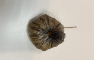 В Рыбновском районе поймали иностранца с героином и метадоном