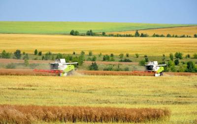 Павел Малков полагает, что в Рязанской области смогут собрать около 3 миллионов тонн зерновых