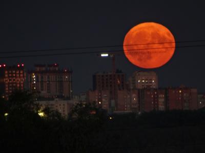 Фото: пользователь соцсети «ВКонтакте» Женя Тейлор