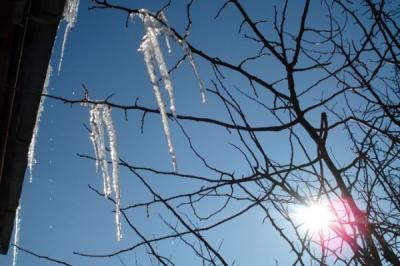 К середине недели в Рязани потеплеет