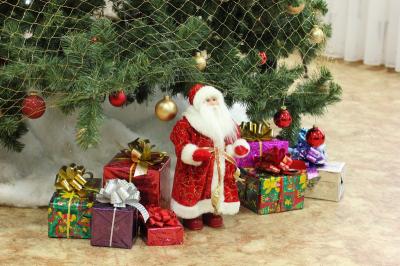 Ёлки главы администрации Рязани пройдут во Дворце детского творчества