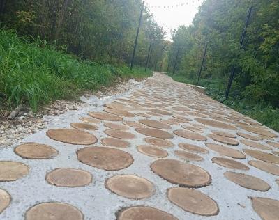 Мэрия Рязани не примет работы по устройству экотропы в Лесопарке