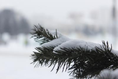 На Рязанщине похолодает до минус 12 градусов