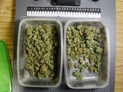 В Ряжске поймали трёх молодых любителей марихуаны