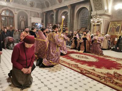 Митрополит Марк возглавил в Рязани молебен во время губительного поветрия