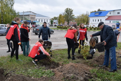 В Спас-Клепиках высадили аллею фундука
