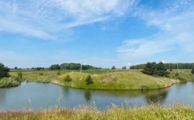 Пляжи у Ласковского и Уржинского озёр под Рязанью открыты для отдыхающих