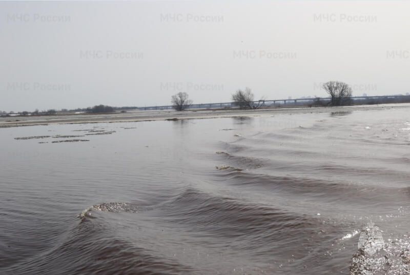 Уровень воды в Оке в черте Рязани достиг 210 сантиметров