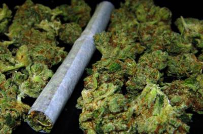 Молодой сасовец хранил дома более 400 граммов марихуаны