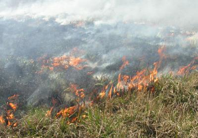 Рязанцы забывают об опасности огня