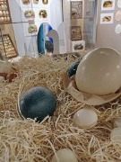 1000053329.jpg title=