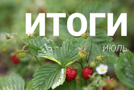 Итоги июля