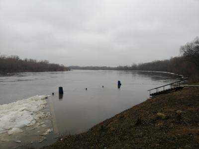 Рязанцы рассказали о ледоходе на Оке
