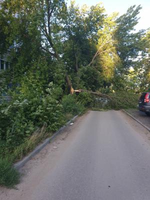 Фото: пользователь соцсети «ВКонтакте» Сергей Якушин