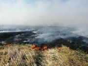 IMG-20201008-WA0030.jpg title=