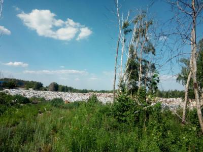 Свалку в Турлатово постоянно проверяют