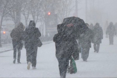 В Рязанской области ожидаются метель и мокрый снег