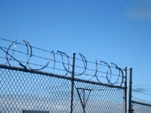 В Скопинском районе при попытке побега застрелили заключёного