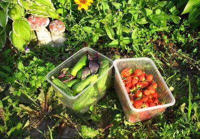 После выхода на пенсию рязанцы хотят посвятить себя путешествиям, работе и даче