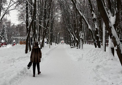 Рязанцам пообещали морозную ночь