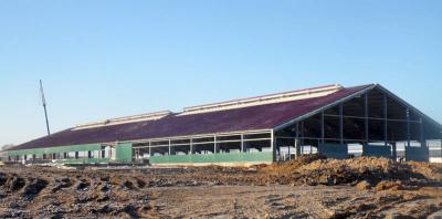 В Касимовском районе коров будут доить роботы