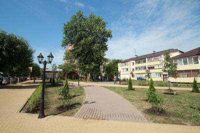 Назначены публичные слушания по скверу на пересечении улиц Горького и Введенская