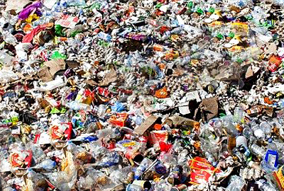 Рязанская область угодила в лидеры по количеству мусора