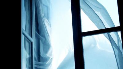 Фото: ИД «Пресса»