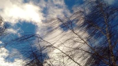 Рязанцев предупредили об усилении юго-западного ветра