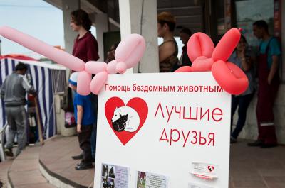 В Рязани помогли животным, попавшим в трудную жизненную ситуацию