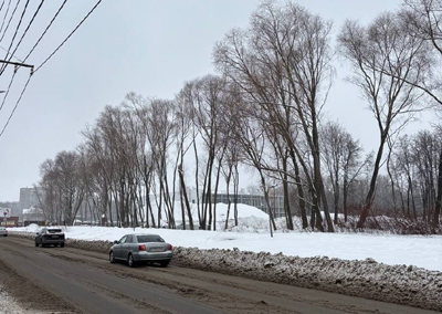 В ближайшую неделю в Рязани прогнозируют оттепель, снег и сильные морозы