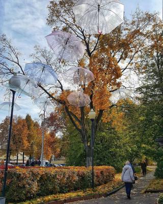 Фото: группа «Рязань — Новогодняя столица 2020» в соцсети «ВКонтакте»