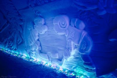 В центре Рязани проведут мастер-класс резьбы по льду