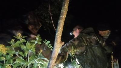 В Скопинском районе отыскали заблудившегося грибника