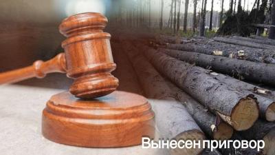 Два жителя Шацкого района получили миллионные штрафы за рубку леса