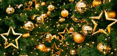 На новогоднее оформление Рязани направили пять миллионов рублей